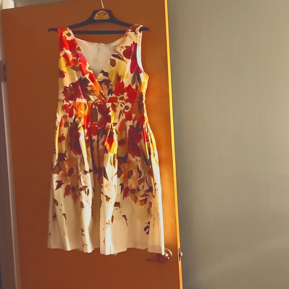 Floral Dress Barn Fit n Flare